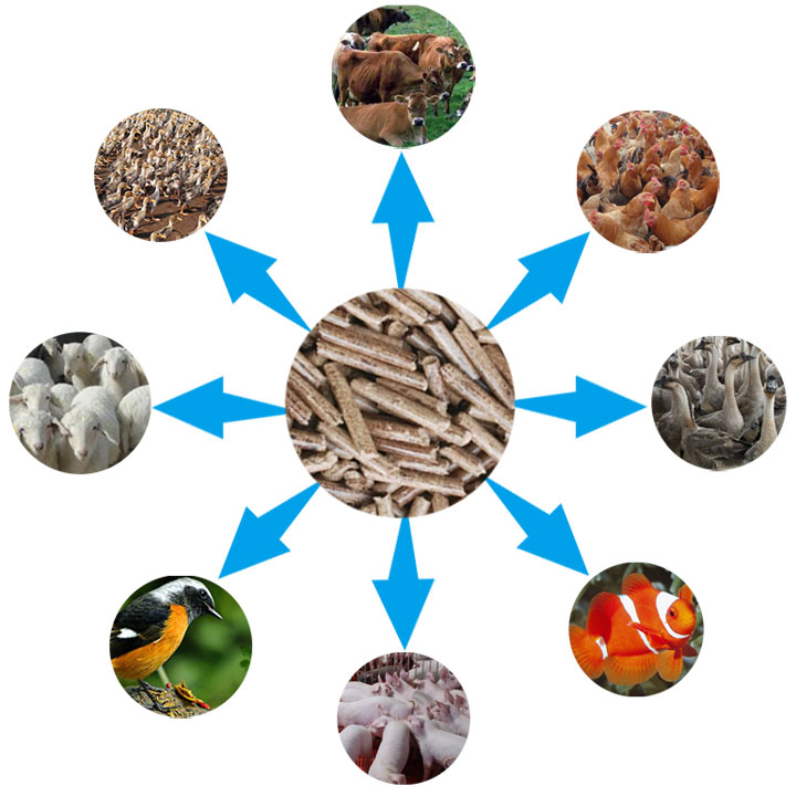產(chǎn)品用途圖片 產(chǎn)品用途圖片