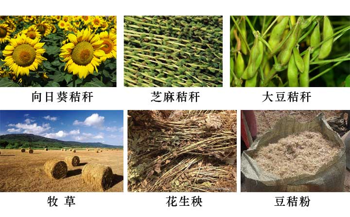 適合玉米秸稈壓塊機的原料都有哪些 適合玉米秸稈壓塊機的原料都有哪些