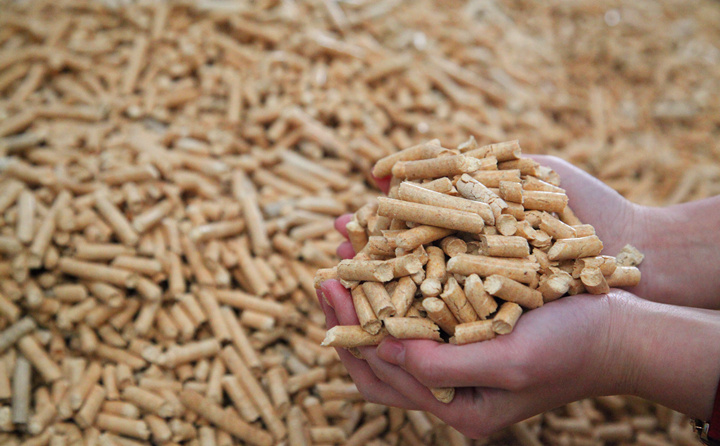 鋸末顆粒機(jī)生產(chǎn)的生物質(zhì)顆粒 鋸末顆粒機(jī)生產(chǎn)的生物質(zhì)顆粒