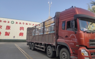 忙碌的五月，忙碌的發(fā)貨，金格瑞顆粒機生產(chǎn)線發(fā)往全國各地