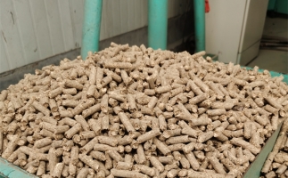 在燃燒時，水分大的生物質(zhì)顆粒會出現(xiàn)哪些問題？