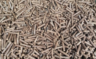 鋸末顆粒機(jī)加工的顆粒燃料價(jià)格主要受哪幾個(gè)方面的影響？