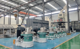 木屑顆粒機(jī)節(jié)能減排效果評(píng)估